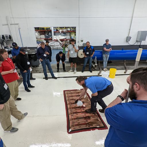 2022/03 - Practical Dye Removal for the Rug Washer (Indianapolis, IN)