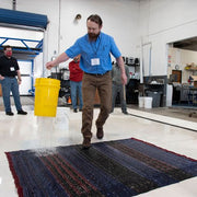 2021/03 - Practical Dye Removal for the Rug Washer (Indianapolis, IN)