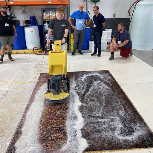 2022/07 - Discover Rug Cleaning (Indianapolis, IN)