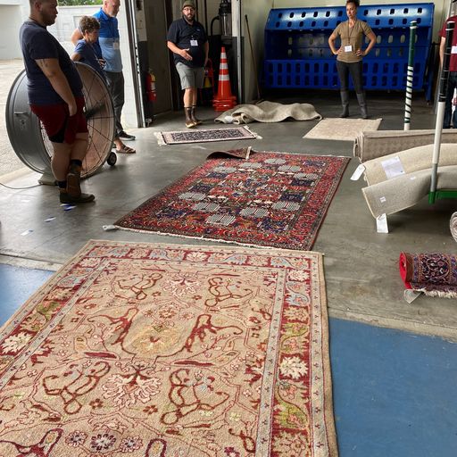 2022/07 - Discover Rug Cleaning (Indianapolis, IN)