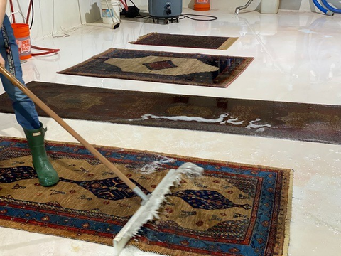 2023/09 Discover Rug Cleaning (Rochester, NY)