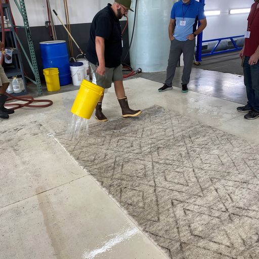 2022/07 - Discover Rug Cleaning (Indianapolis, IN)